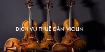 Dịch vụ thuê đàn Violin chuyên nghiệp tại Thủ Đức